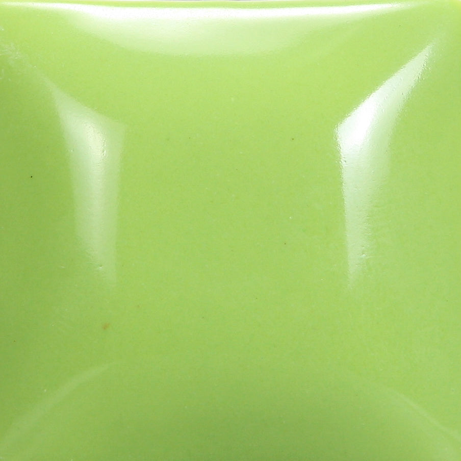 SC98-MAYCO Stroke & Coat 98 Slime Time