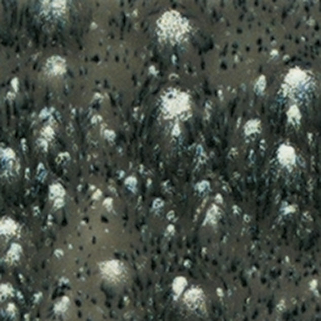 S2718-Mayco Jungle Gems 2718 Cosmic Black