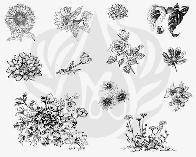 Šablona na sítotisk Mayco DSS-138 Flowers 2 – slunečnice, růže, tulipán a jiřiny