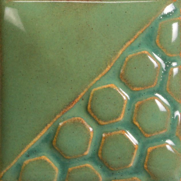 Turtle Shell