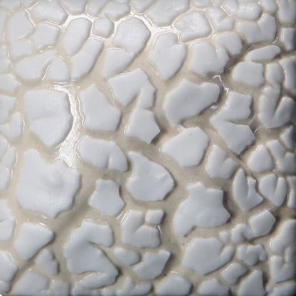 White Mudcrack