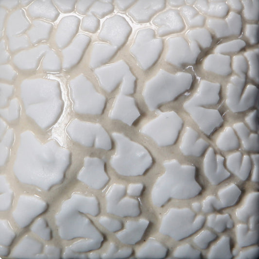 White Mudcrack