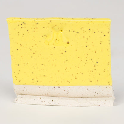 Speckled White, cone 6 – oxidace
