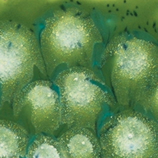 S2715-Mayco Jungle Gems 2715 Spotted Kiwi