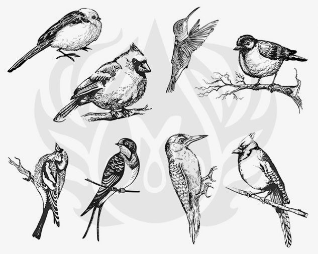 Šablona na sítotisk Mayco DSS-108 Aviary – Small Birds – kardinál, kolibřík, vlaštovka a datel