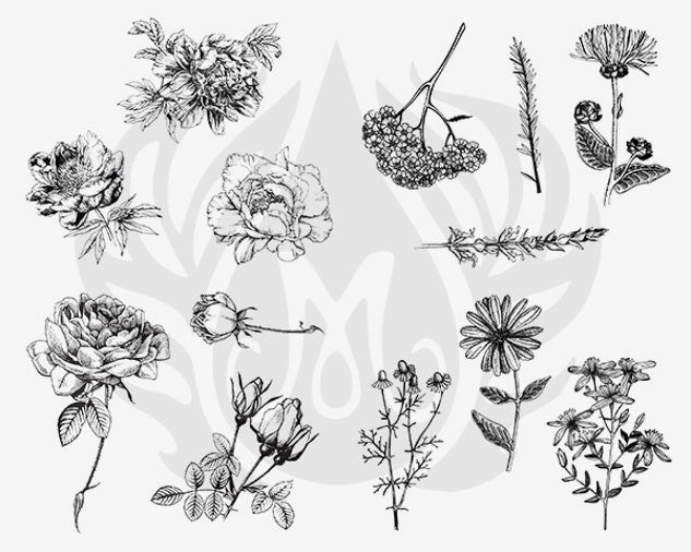 Šablona na sítotisk Mayco DSS-112 Flowers – růže, pivoňky, kopretiny a heřmánek